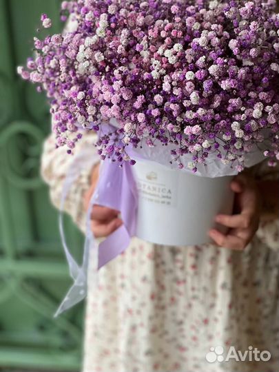 Букет надолго, воздушная гипсофила стойкий цветок