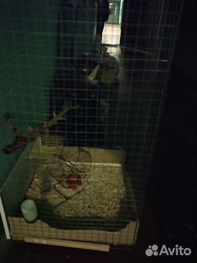 Клетка большая