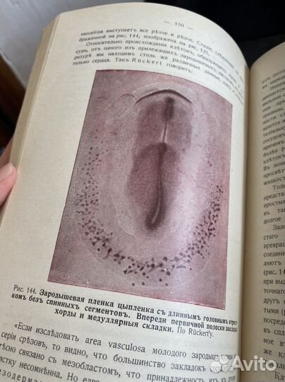 Старинные книги