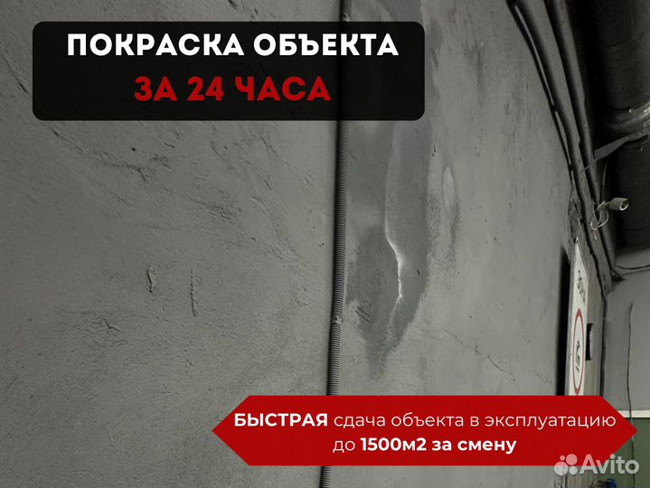 Покраска стен