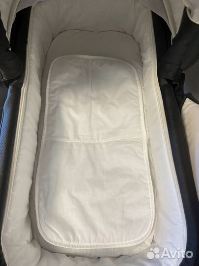 Коляска adamex verona 2в1