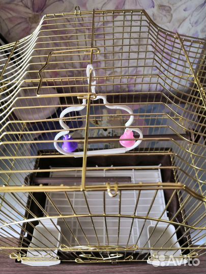 Клетка для попугая