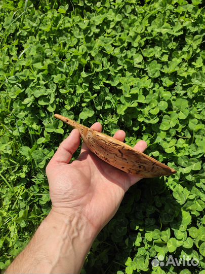 Плоская чаша для подачи из сувели ели. Древоточец