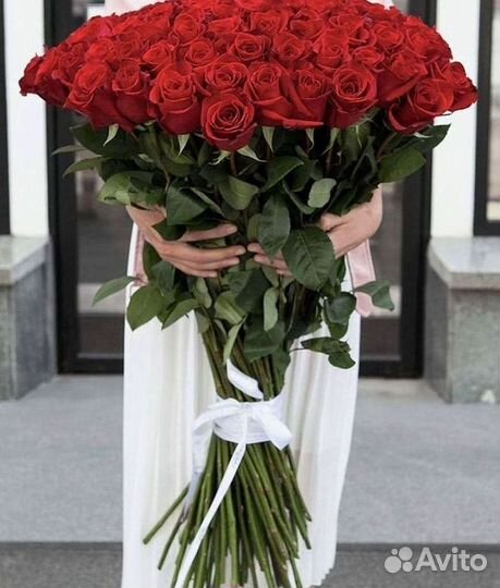 Розы Цветы Букеты 25 51 151 201 101 301 501 опт