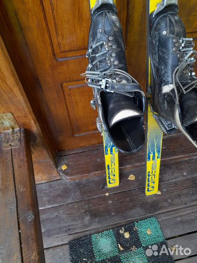 Горные лыжи