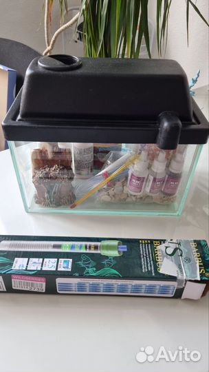 Аквариум для рыбки петушка