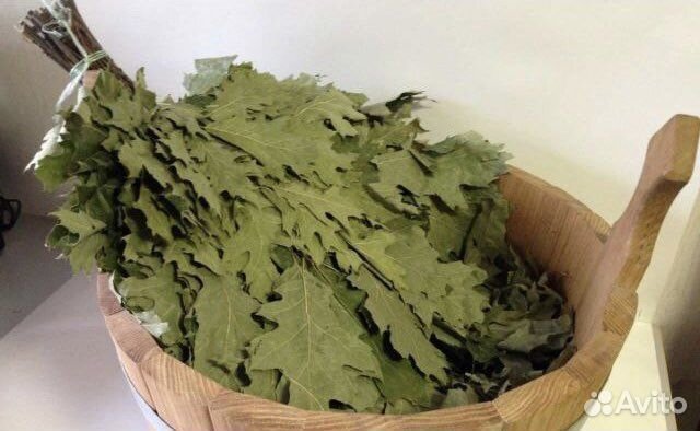 Дубовые веники для бани