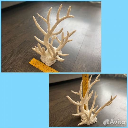 Аквариумный декор