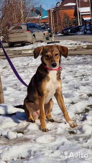 В самые добрые руки