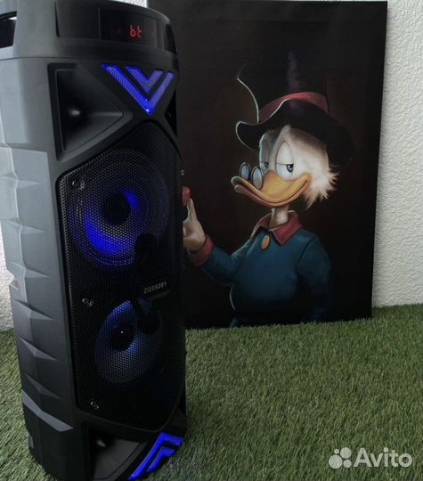 Колонка с микрофоном до 1000 вт