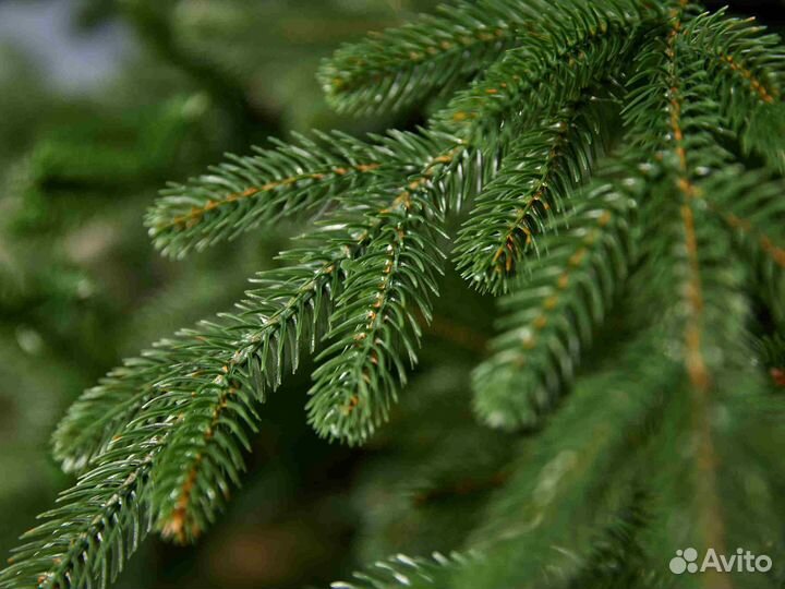 Елка искусственная литая