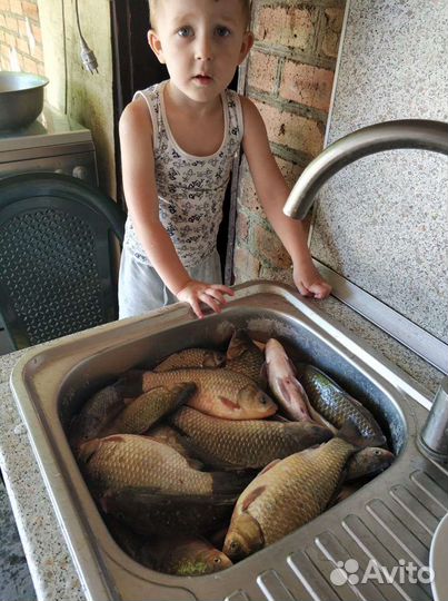 Рыбалка и отдых