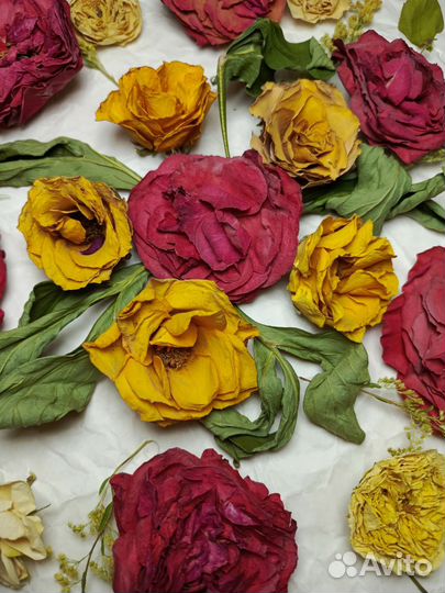 Набор сухоцветов для эпоксидной смолы