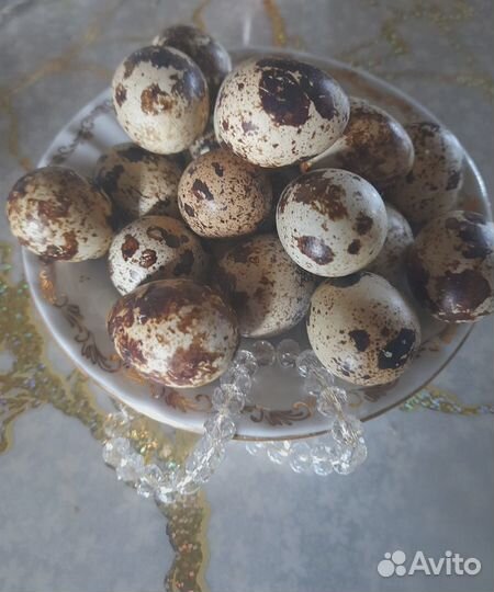 Яйца перепелиные домашние