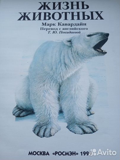 Жизнь животных 