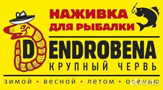 Черви дендробена