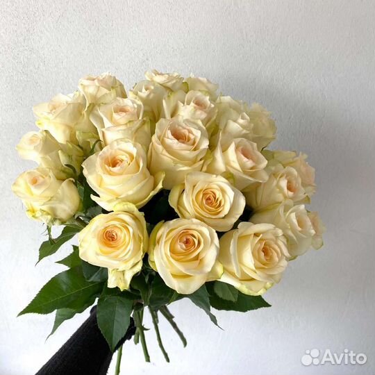 Цветы розы букет