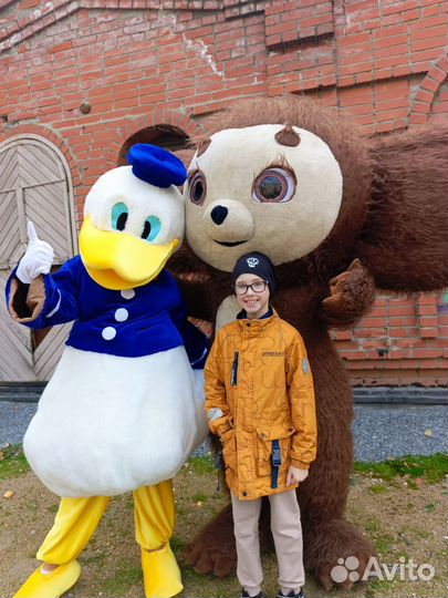 Веселый Утёнок,Чебурашка, Белый медведь и другие