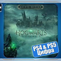 Hogwarts Legacy / Хогвартс. Наследие (PS4 и PS5)