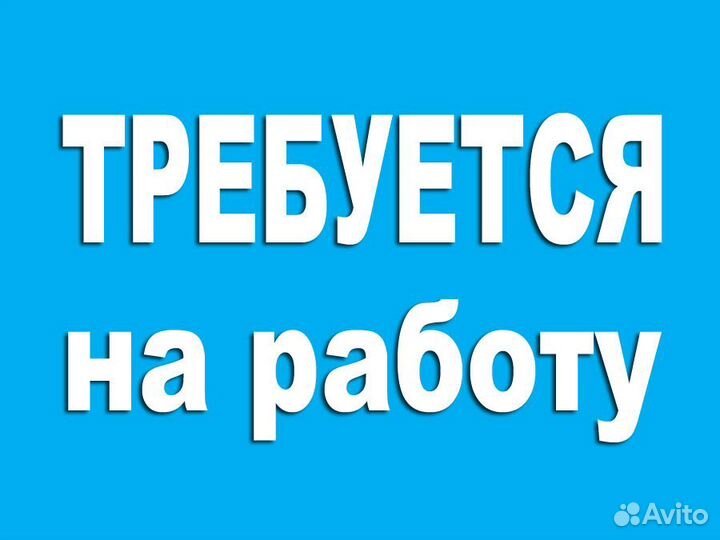 Продавец-кассир в торговую сеть