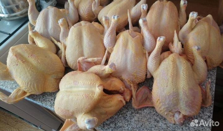 Мясо домашней курицы