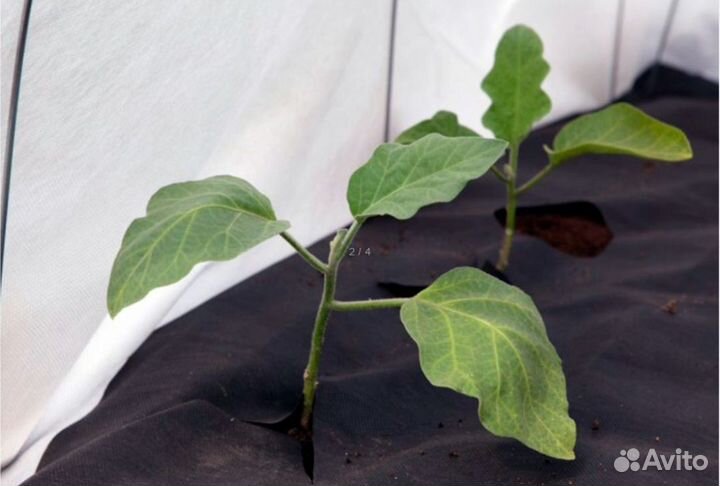 Укрывной материал спанбонд