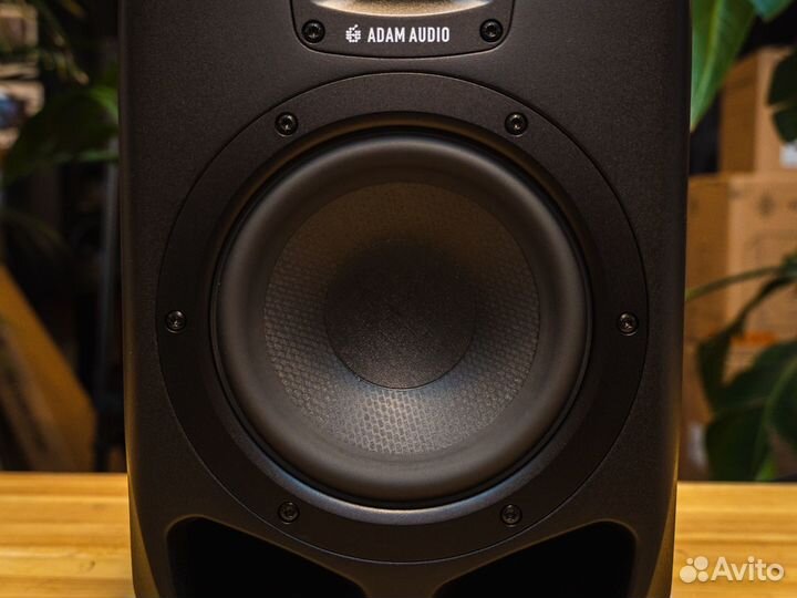 Adam S2V В наличии