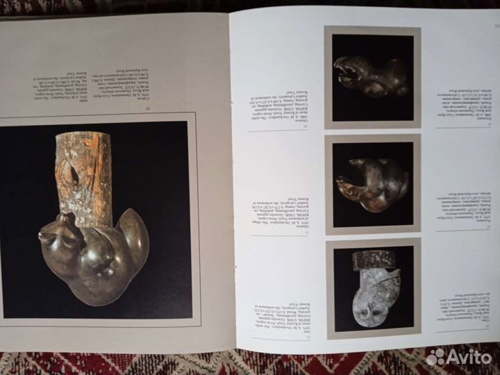 Книга Селенит