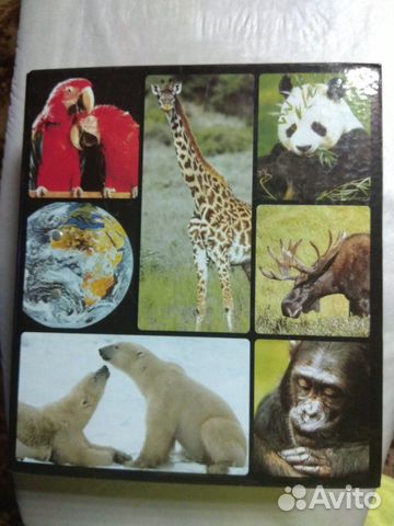 Папка энциклопедия