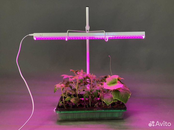 Фито лампа для растений