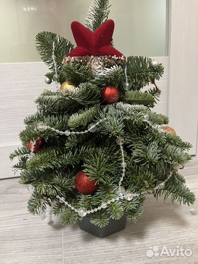 Новогодняя композиция елка