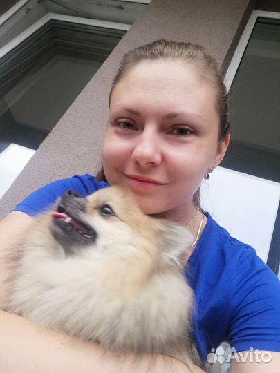 Передержка животных