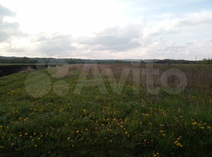 Участок 25 сот. (ИЖС)