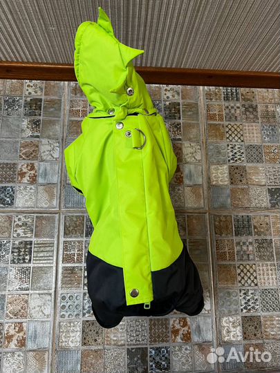 Зимний комбинезон Dino на кобеля