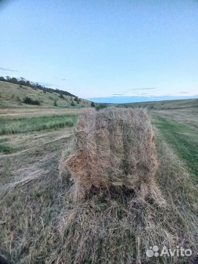 Сено в тюках