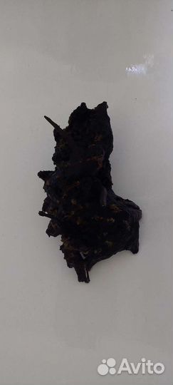 Все для аквариума