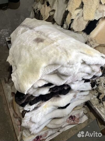 Шкуры овечные штучные