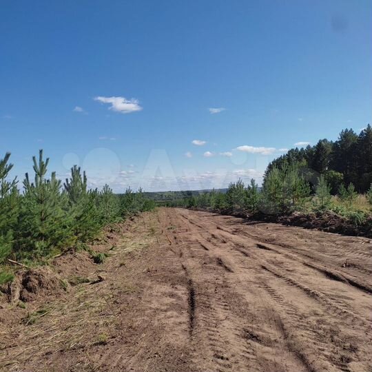Участок 7 сот. (СНТ, ДНП)