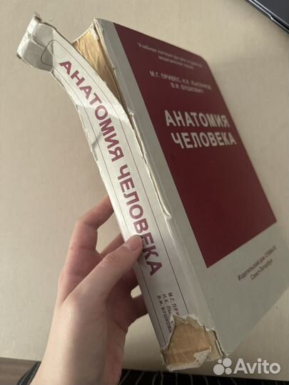 Анатомия человека Привес М. Г. и др