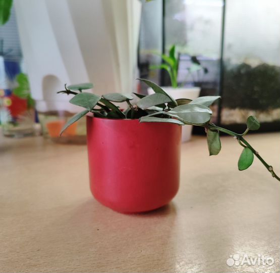 Кашпо для цветов, ручная работа