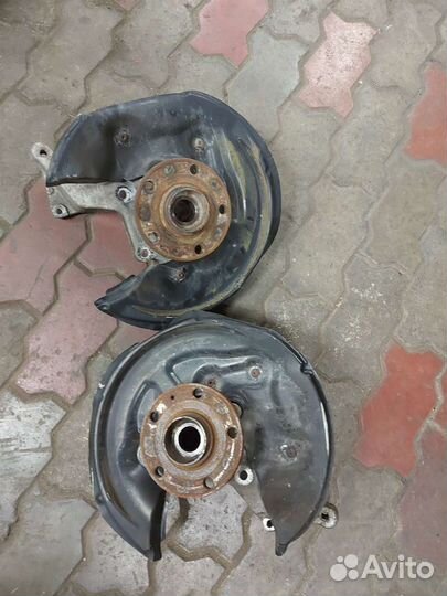 Два задних кулака Тигуан 1