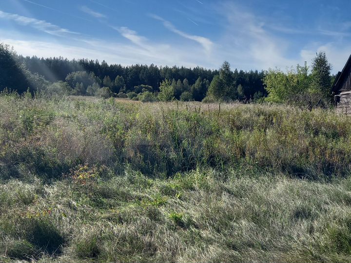 Участок 40 сот. (ИЖС)