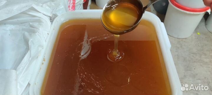 Цветочный мед оптом свежий