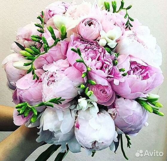 Пионы Букет