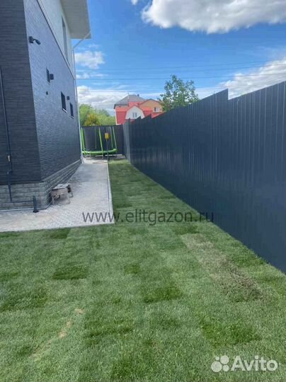 Рулонный газон, укладка, продажа