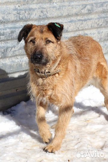 Мальта бесплатно