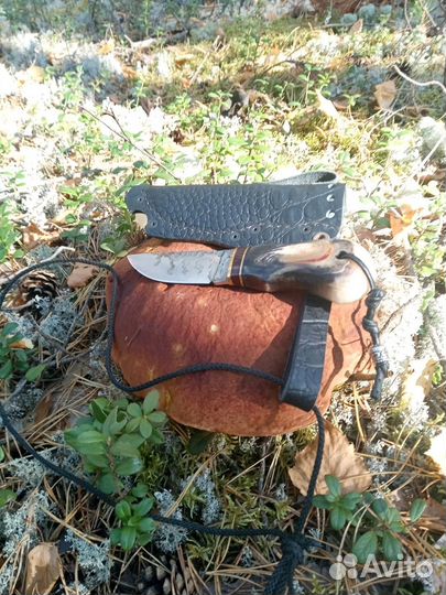 Туристические ножи