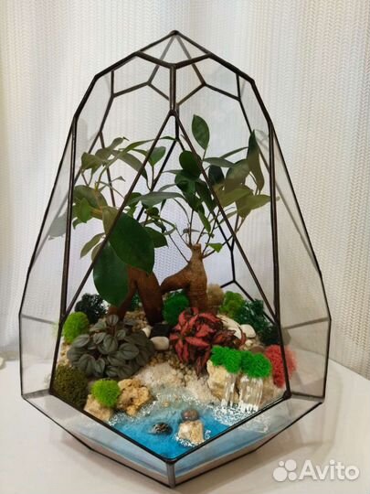 Флорариум/растения/цветы