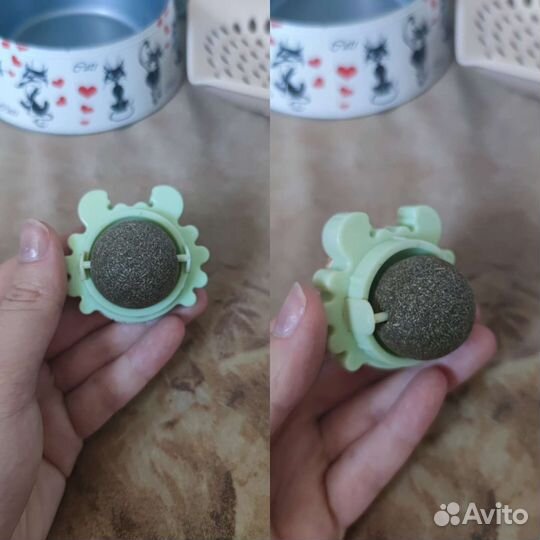 Корма, наполнитель, игрушки для кошек