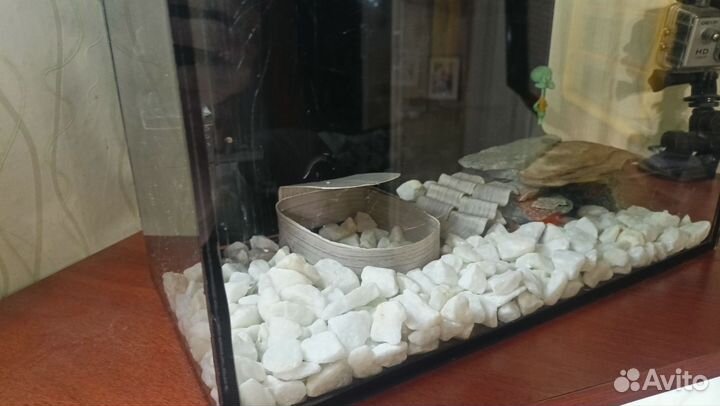 Аквариум в сборе